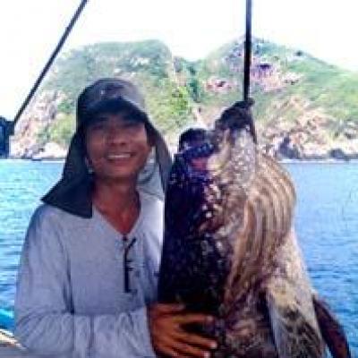 Cá mú Khổng lồ tại Hàng Dương Quán