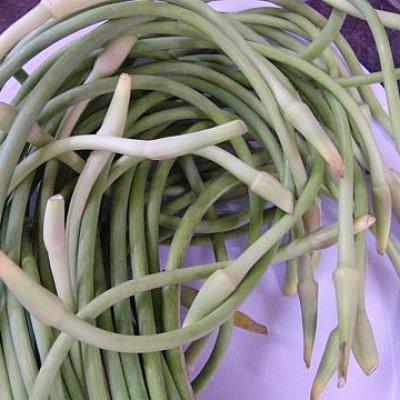 Ngồng tỏi