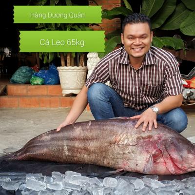 Cá Leo 65kg tại Hàng Dương Quán