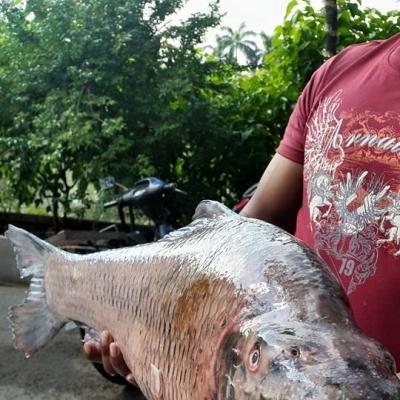 Dịch vụ giao mồi nhậu tận nhà.